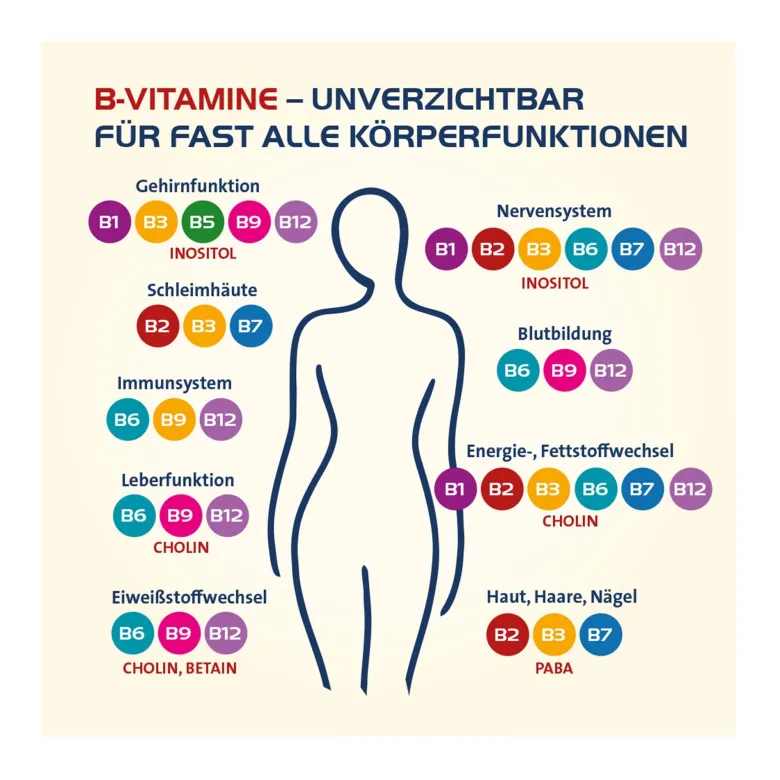 Vitamin B Complete Hevert All-in-One Kapseln, 60 St