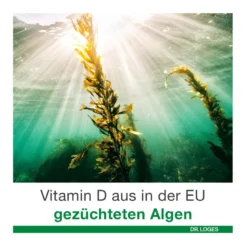 Vitamin D-Loges 7.000 I.E. pflanzlich, 30 St