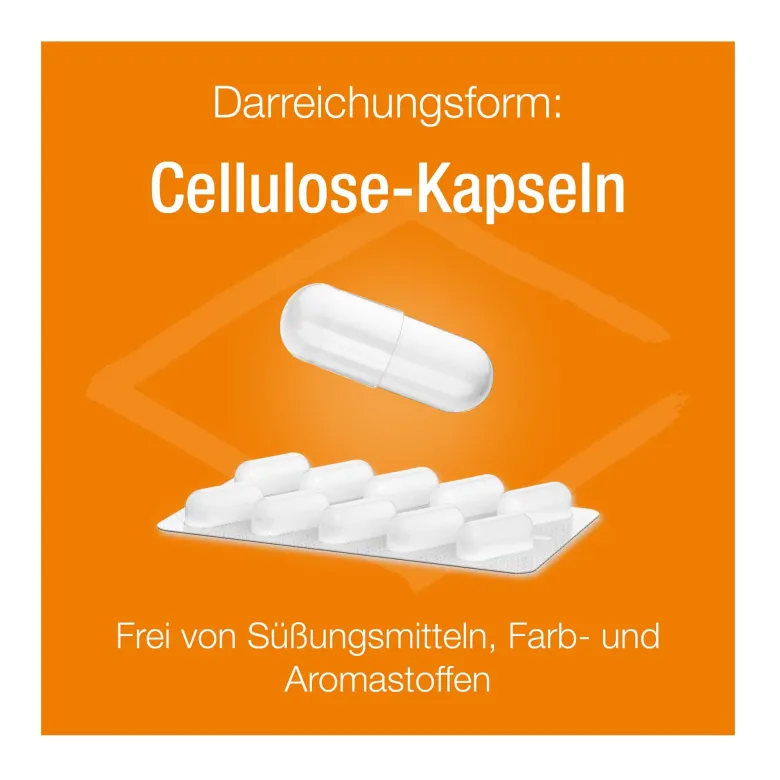 Vitamin D Verla purKaps, 60 St