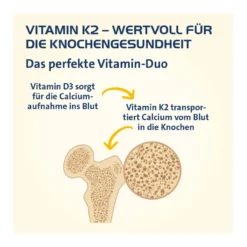 Vitamin K2 Hevert 100 µg Kapseln, 60 St