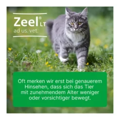 Zeel LT ad us. vet. Tabletten, 100 St